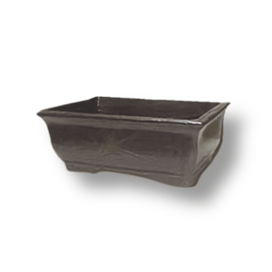 Potstory Bonsai Rectangle