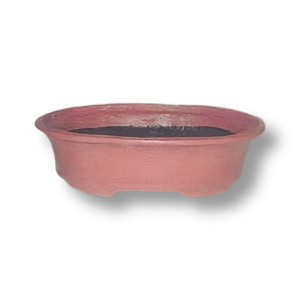 Potstory Bonsai Pot Peach