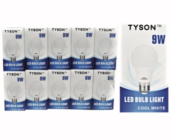 Tyson Globe LED 9W E27 Screw 10's