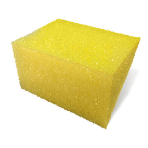Body Exfoliating Sponge