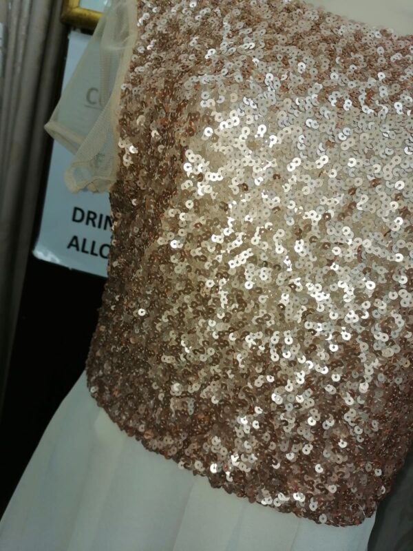 Dress Sequin Bodice, Chiffon - Image 2