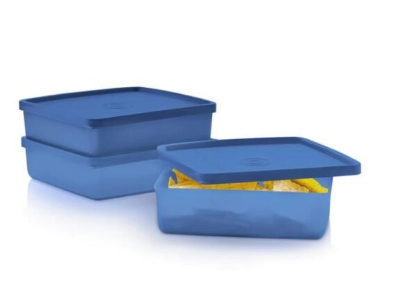 Tupperware Blue Square Away Storage Containers – Happy Harvesting