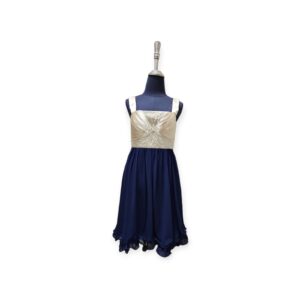 Stone & Navy Dress with Sequins