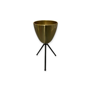Gold Cup Stand with Black Trio Legs