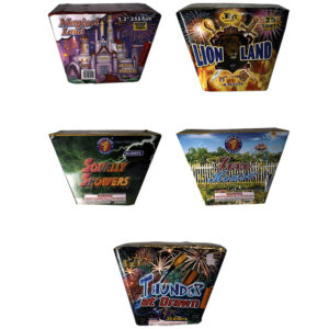 25 Shot Fan 1.2" New Years Firework