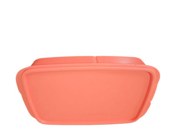 Tupperware Compartment Container - Image 3