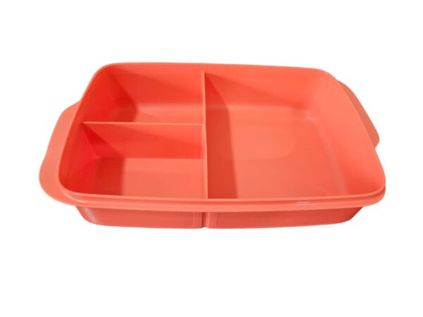 Tupperware Compartment Container
