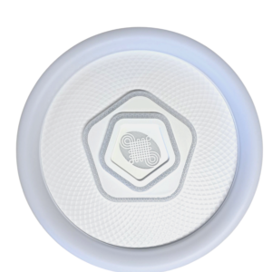 Light Ceiling Light Retro Cl025 480mm - F03417