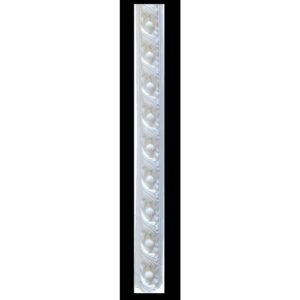 Dadoo Rail PU Serie M1-wht 2.4mx5cm 1's