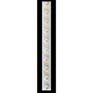 Dadoo Rail PU Serie M1g-gold 2.4mx5cm