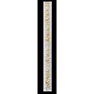 Dadoo Rail PU Serie M3g-gold 2.4mx5.2cm