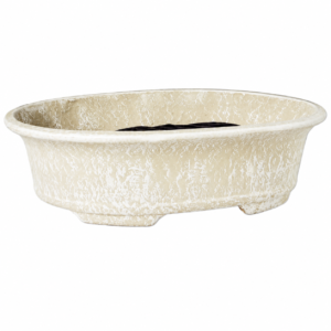 Bonsai Pot Peach
