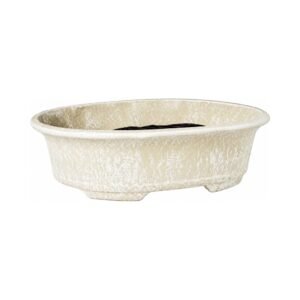 Potstory Bonsai Pot