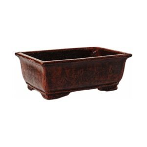 Potstory Rectangular Bonsai