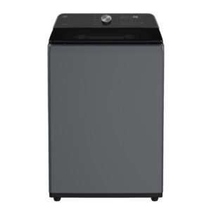 Defy 20kg Top Loader Washing Machine Dark Grey DTL200